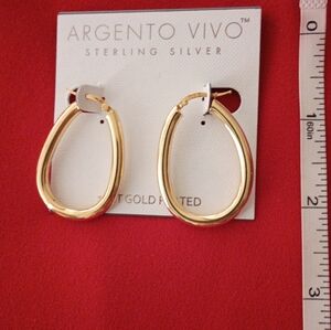 14 KT Gold Plated Earrings